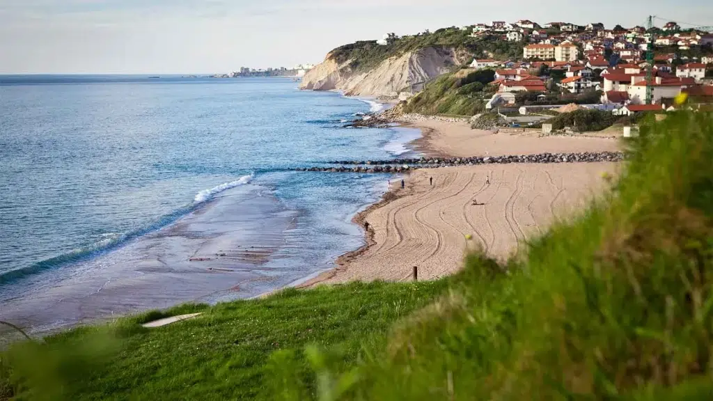 Scenic view of the Sentier Littoral coastal path with lush greenery and ocean views in Biarritz.