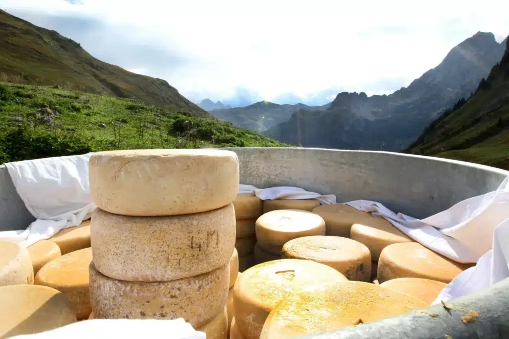 VTC Bayonne chauffeur privé pour déplacements longue distance