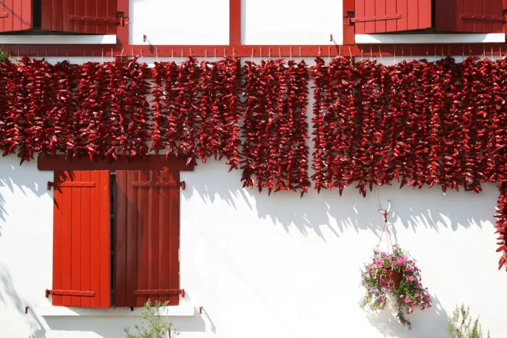 Basque peppers – Espelette and Bayonne local tradition