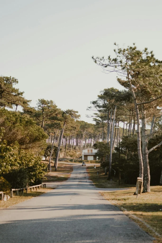 Route en forêt landaise vers Hossegor – VTC Hossegor et taxi Bayonne Hossegor