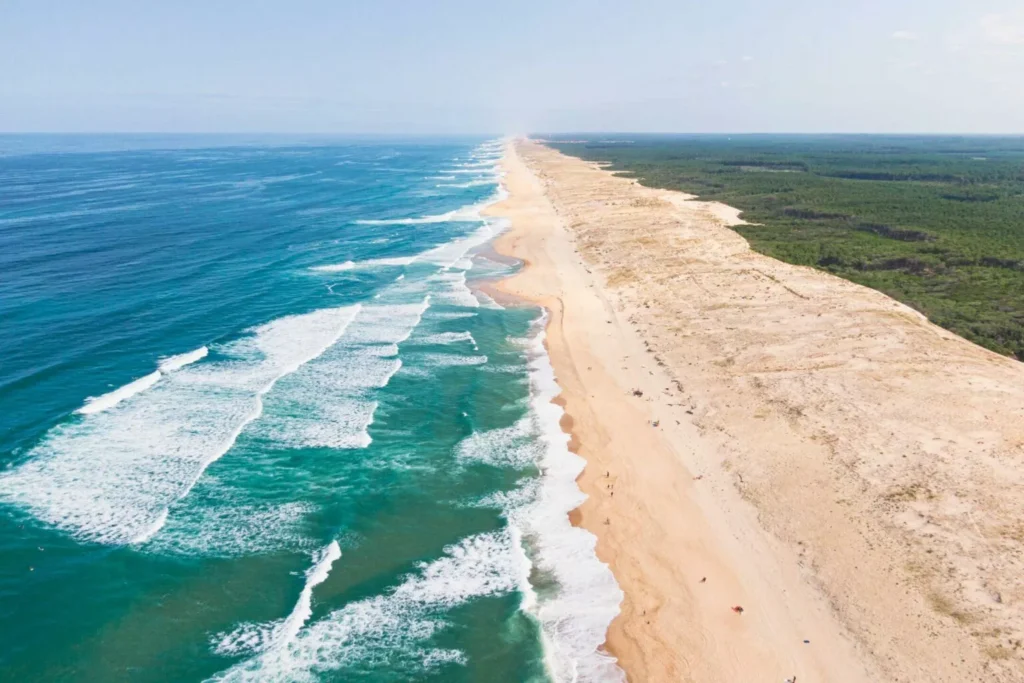 Where the Landes dunes meet a winding river estuary, the landscape is a natural marvel. Guests transferring from Biarritz Airport to Camping Le Vieux Port will find themselves just minutes from these wild, protected shorelines — perfect for walking, birdwatching, and exploring the natural beauty of the Côte Landaise.