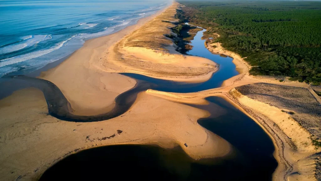 Aerial view of the Courant d'Huchet nature reserve near Camping Le Vieux Port Moliets Landes